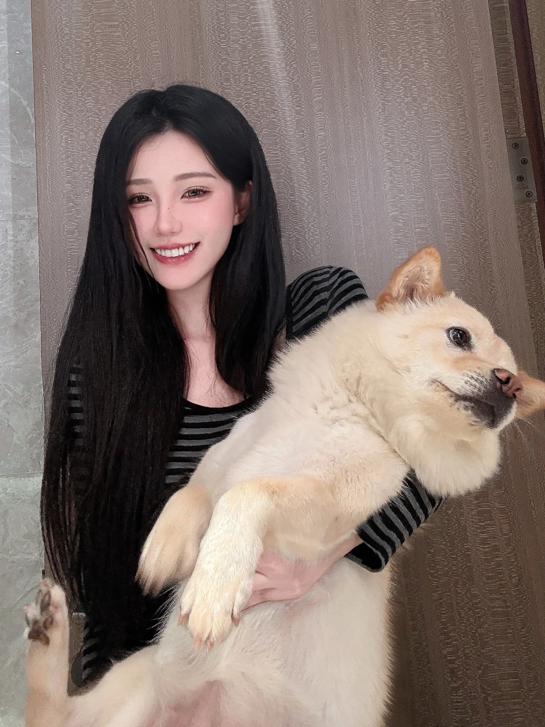狗儿 你胖 但妈不嫌