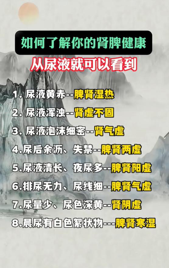 看尿液辨脾肾：不同排尿表现，对应不同体质