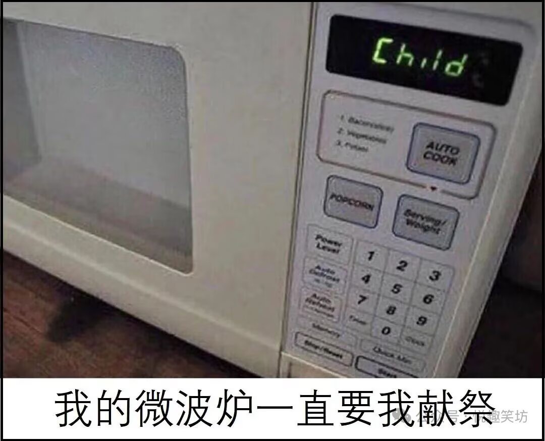 8847其实微波炉是我的供养神