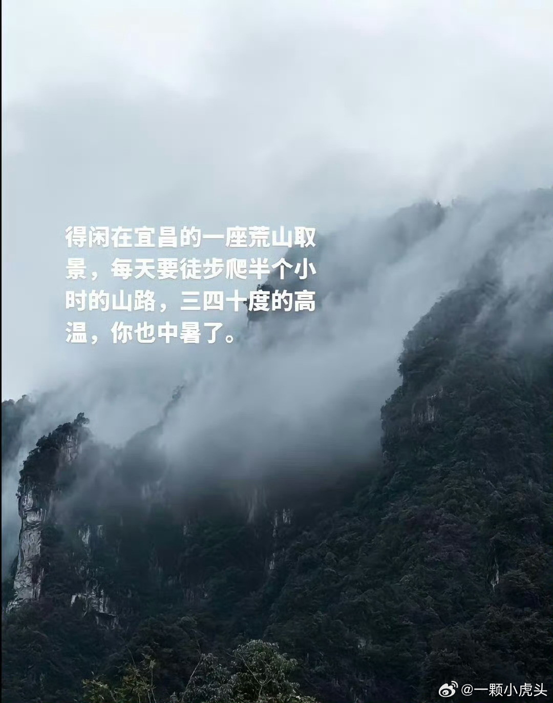 肖战在内娱真的独一份的人格魅力。荣耀和粉丝共享，伤痛自己承担。越是这样，越佩服他