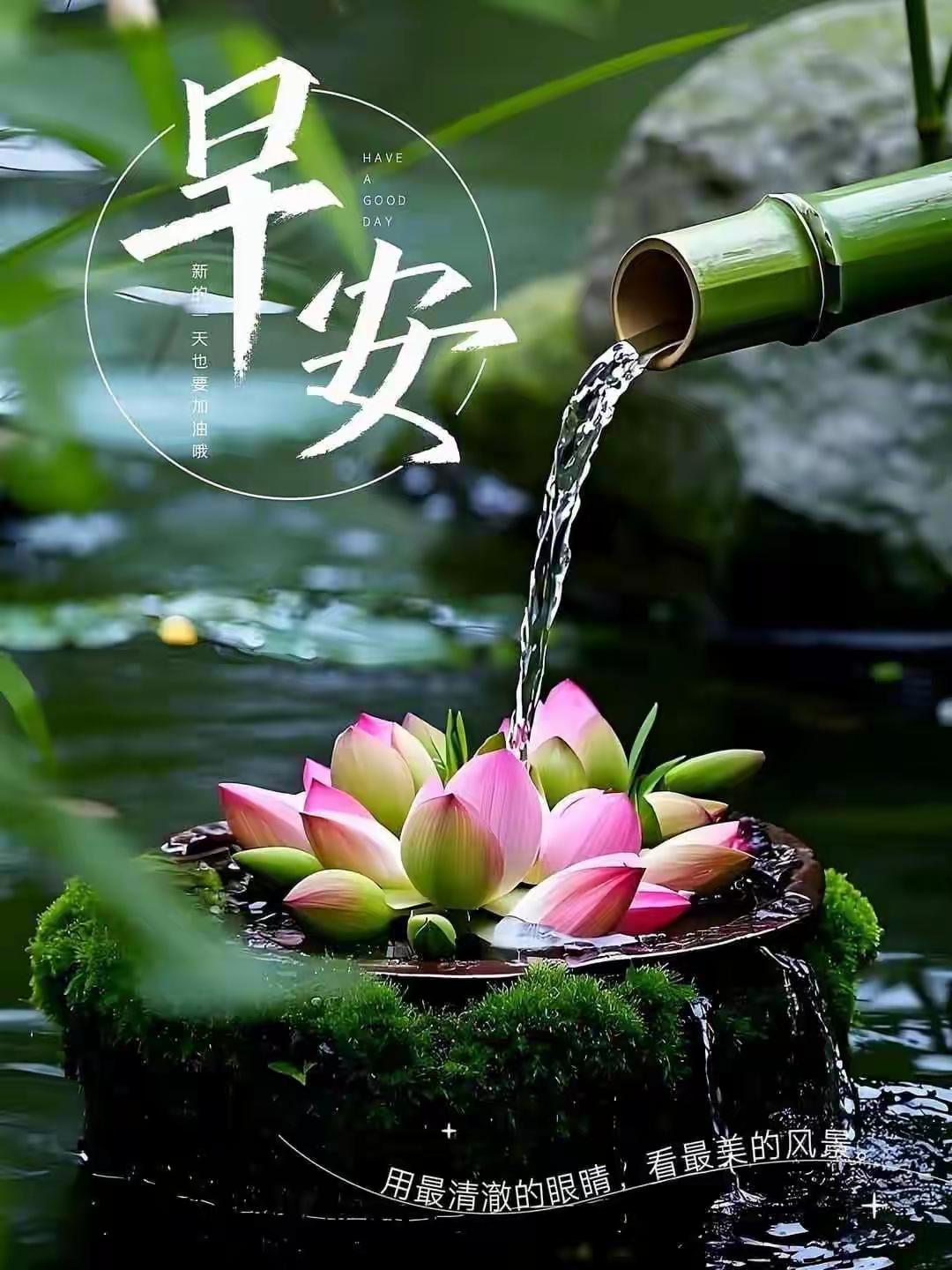 早安，用最清澈的眼睛，看最美的风景。[烟花][玫瑰]