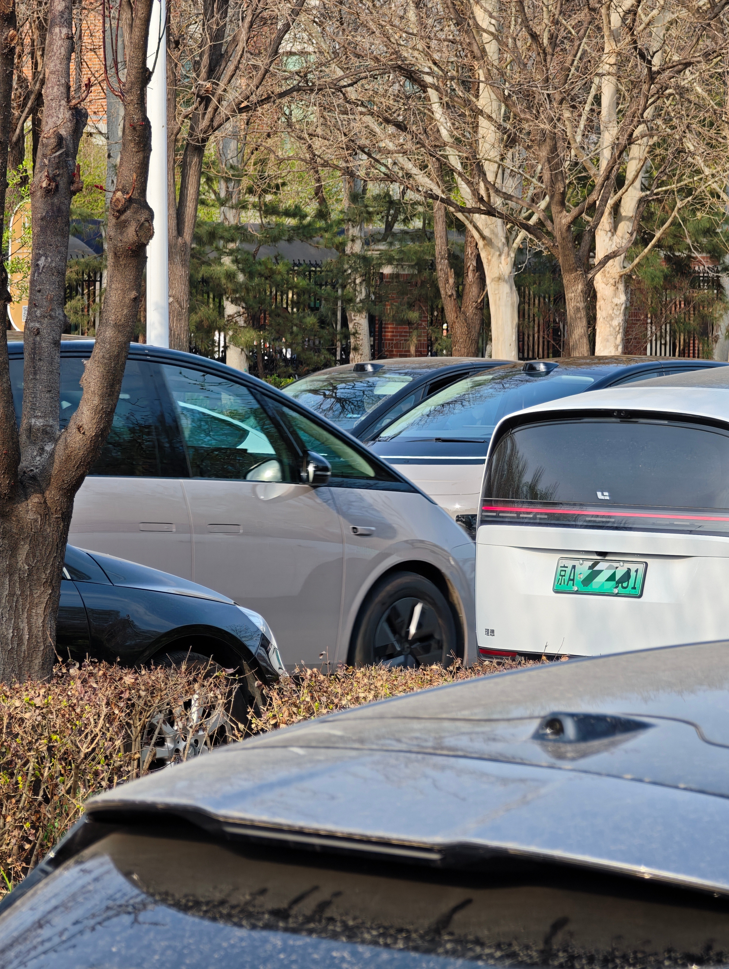 我靠...从顺义一个国际学校门口路过，你们感受一下MEGA恐怖的密度学校门口的路