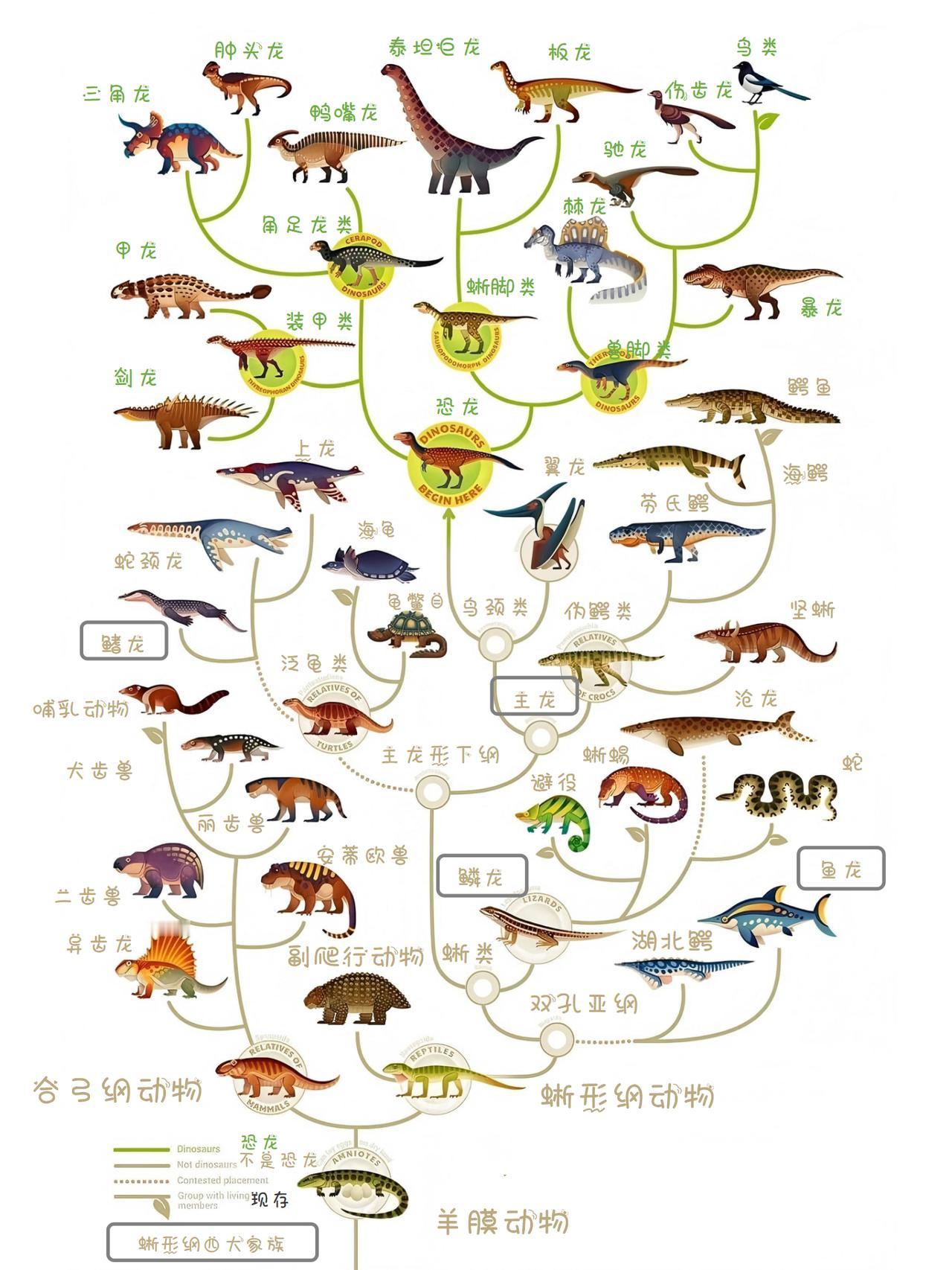 目前陆地上实际是虫族、龙族、兽族三大力量统治。人类不但是兽族的首领，也是所有动物
