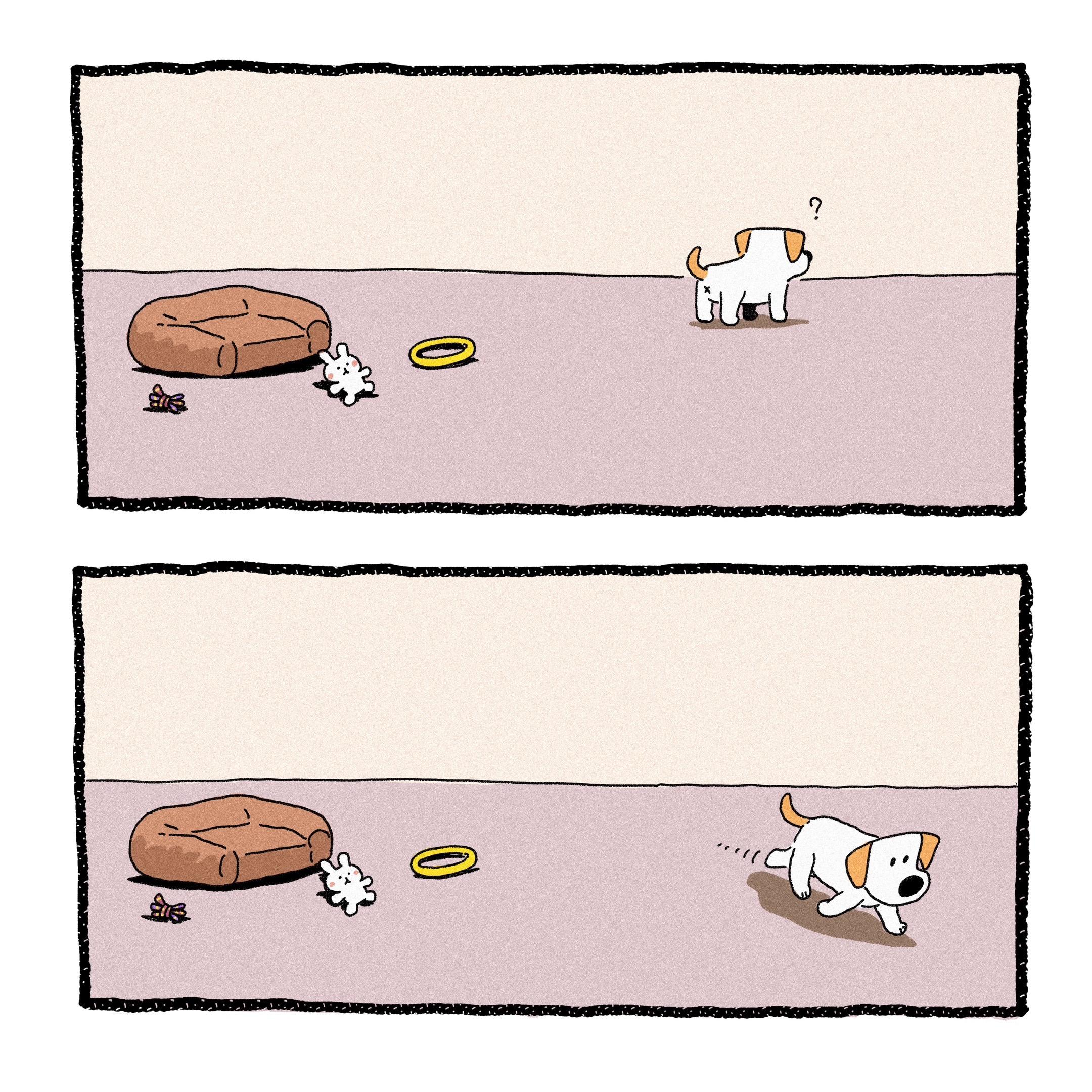 小狗心里也有最重要的东西呢！小乓固定的玩具就这么几个，唯独爱这只小鸭子...