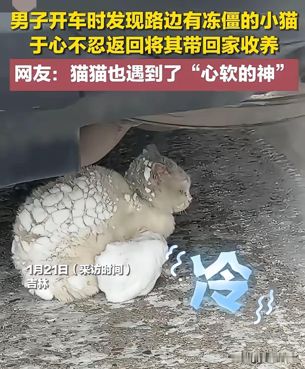 吉林的寒冬有多烈？吐口痰都能秒变冰渣，室外待一分钟都冻得刺骨——可就是这样的极寒