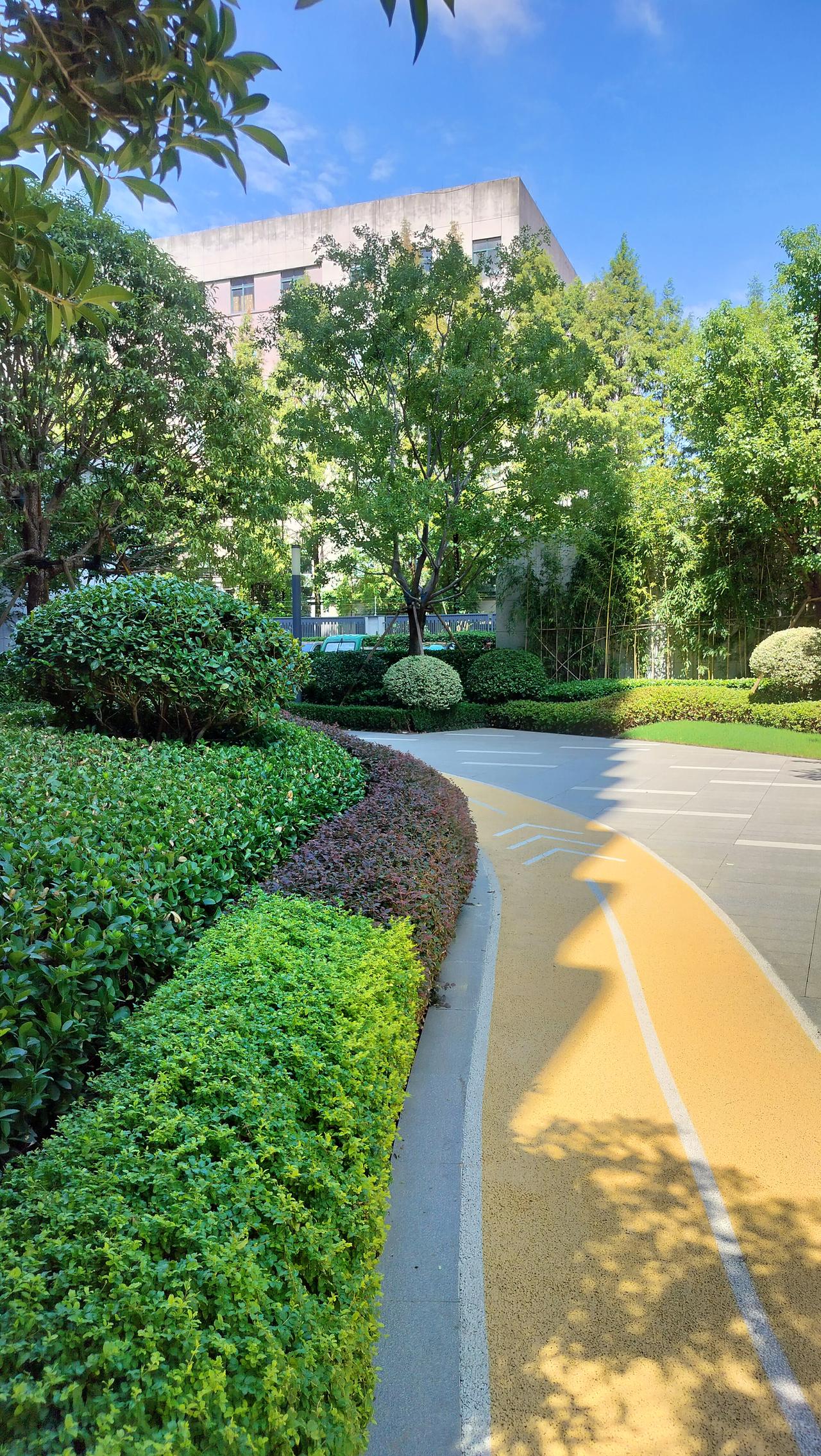 儿子前女友说：‘’各养各爸妈。‘’我一听不乐意了，这未来儿媳咋这么自私，没进家门