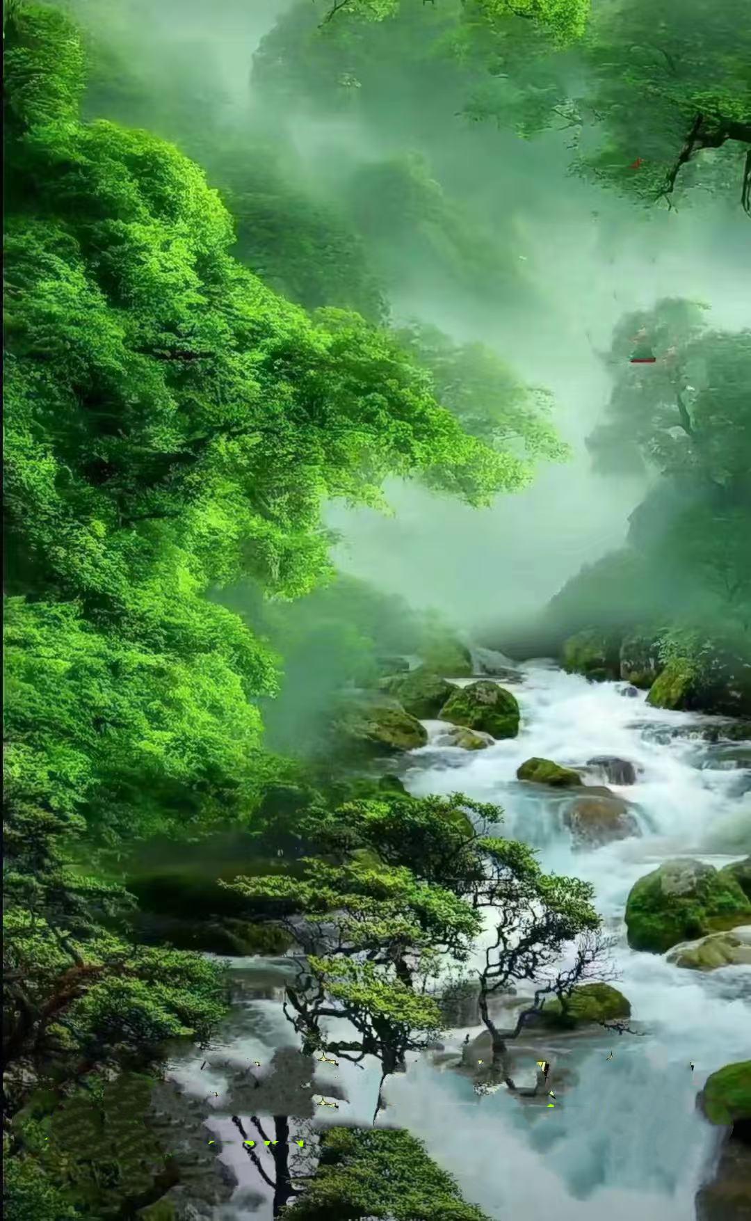 阿宏/七绝·谷雨谷雨樟花次第芳，行人过处染清香。山间新笋争先涌，翠覆群