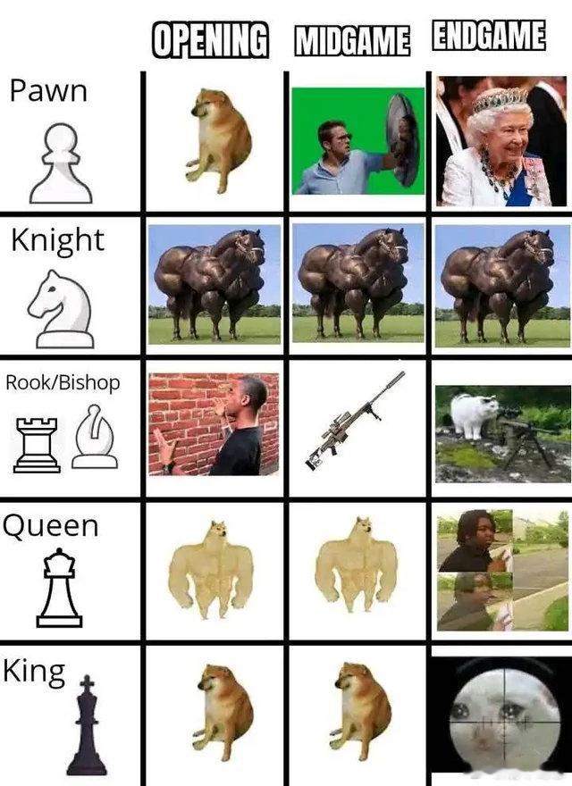 一些国际象棋梗图♟️​​​​#memes#​
