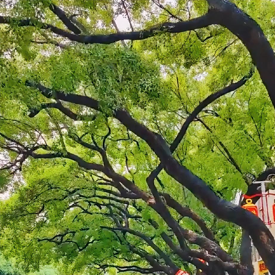 有句话说得实在：在这个世界上，真正属于你的东西只有两样，一是你的身体，二是你的心