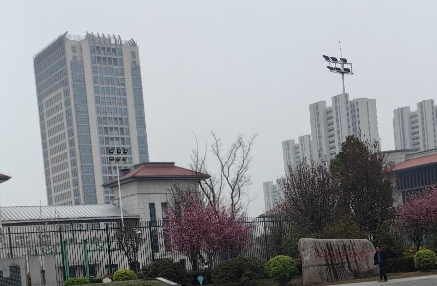 冯小刚现在真没人看他的电影了吗？去看他新片《抓特务》就能一目了然。这部片子