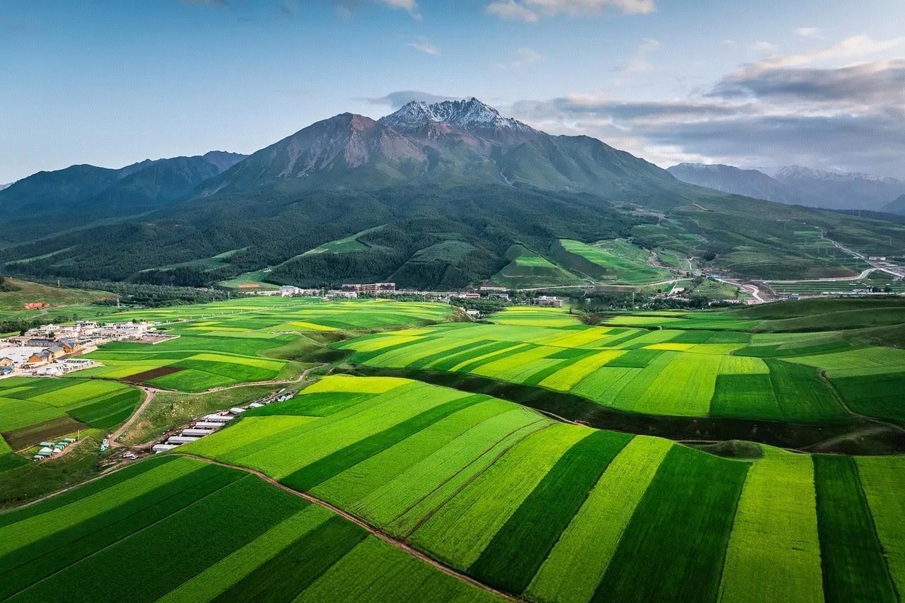 回去的时候被宝马别了几次车，可能人家觉得你开的比亚迪，人家都不屑于跟你PK。其实