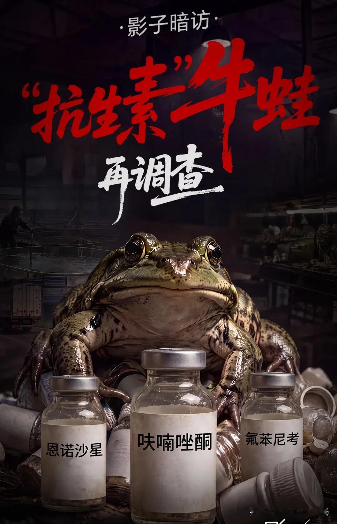 全网炸锅！抗生素牛蛙早已遍地都是，不止福建，所有人都避不开。最近福建抗生