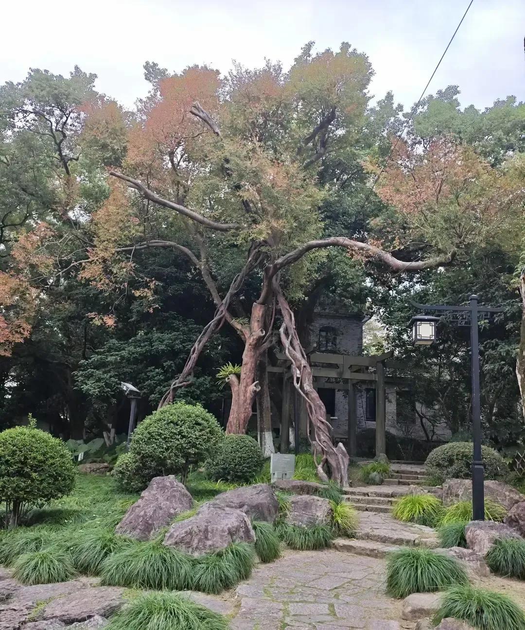 女主昨晚跟丈夫摊牌，说不想再看店了，亏掉几十个W，公公天天念叨，她宁愿出去上班。