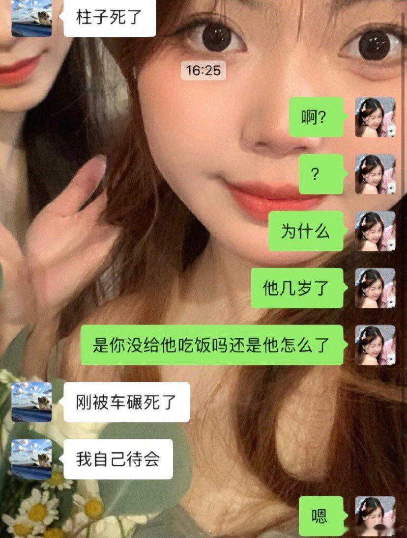 朋友小狗去世了怎么安慰啊
