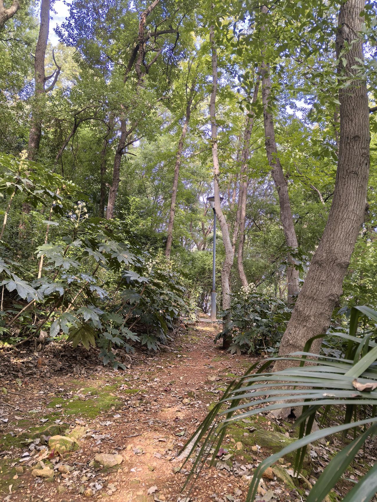 我上班的小区造反派才刚刚平息消停，谁知家里的小区又开始组建反业委会、反物业群，并