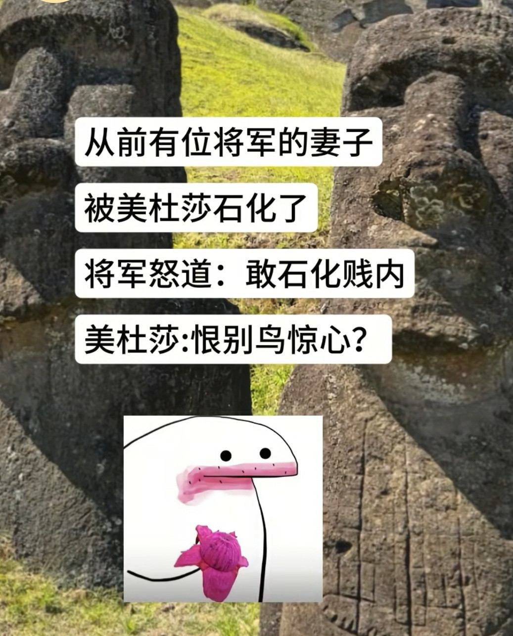 文学梗我学语文不是为了看懂这些梗的​​​