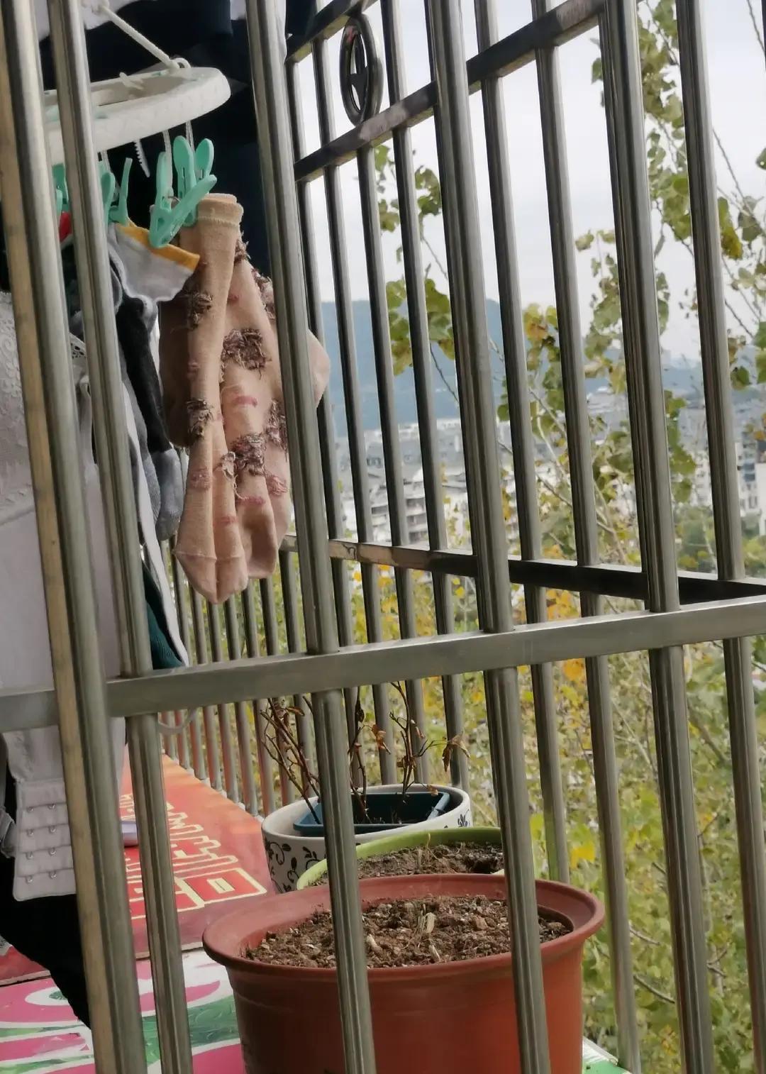 二十几年前山西小厂，车间主任是老板亲哥，秃顶高个，管着几十号人。年底发苹果，