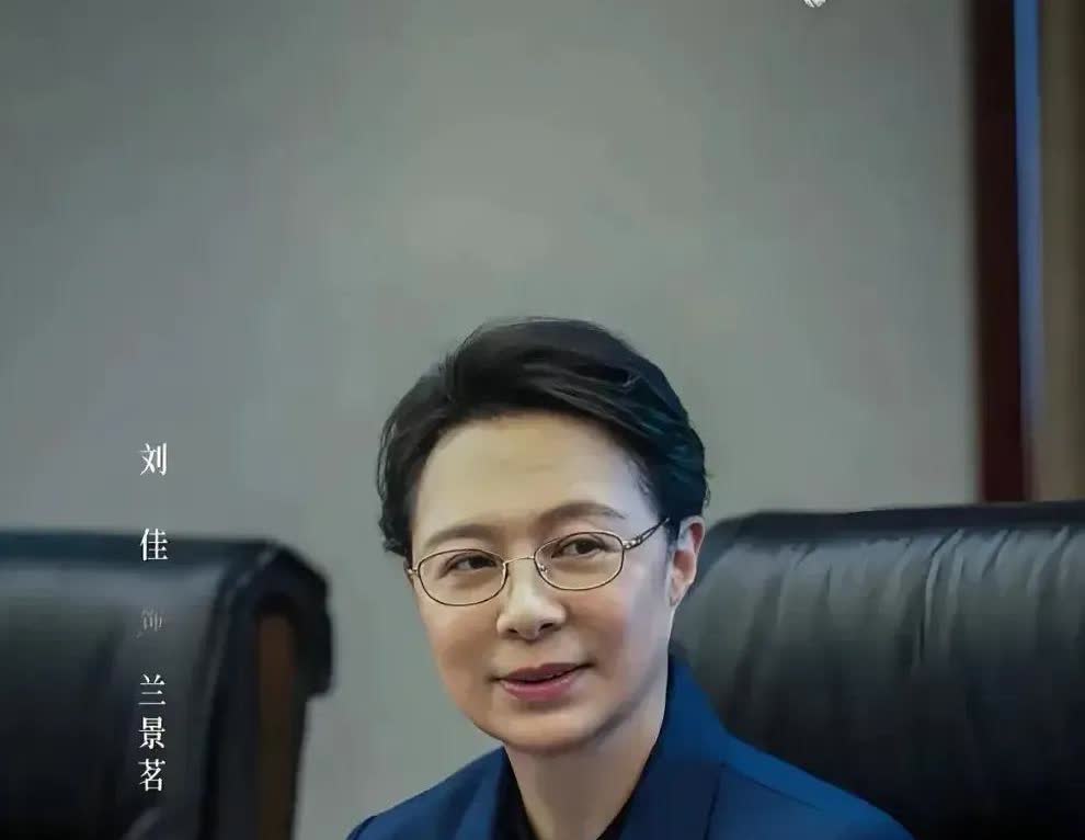 《以法之名》洪亮竟然是许言午和兰景茗的儿子？网传许言午和兰景茗原本是夫妻，