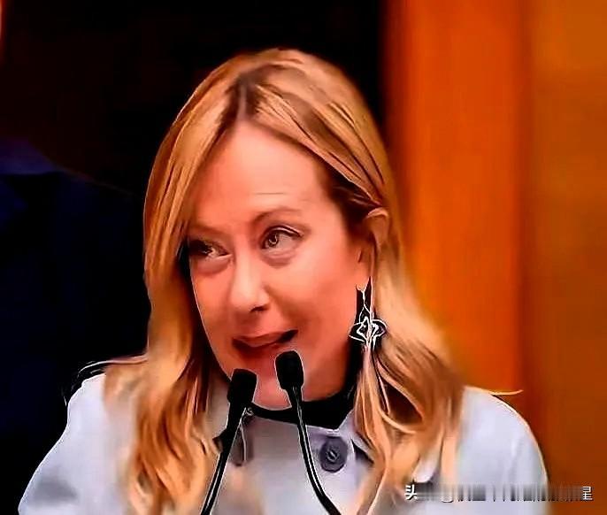 我靠，那个意大利女总理的圣诞致辞，简直了。意大利女总理圣诞致辞：今年过得很艰