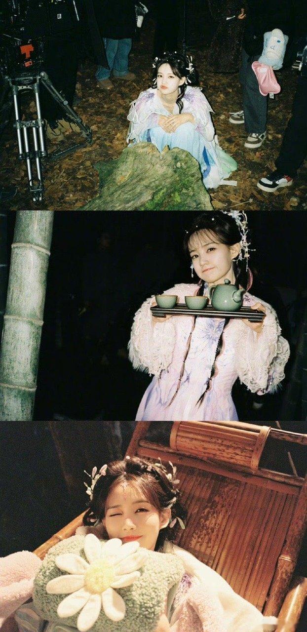 李一桐相册里掉落的小蜘蛛李一桐相册里的小蜘蛛李一桐小蜘蛛好可爱啊​​​