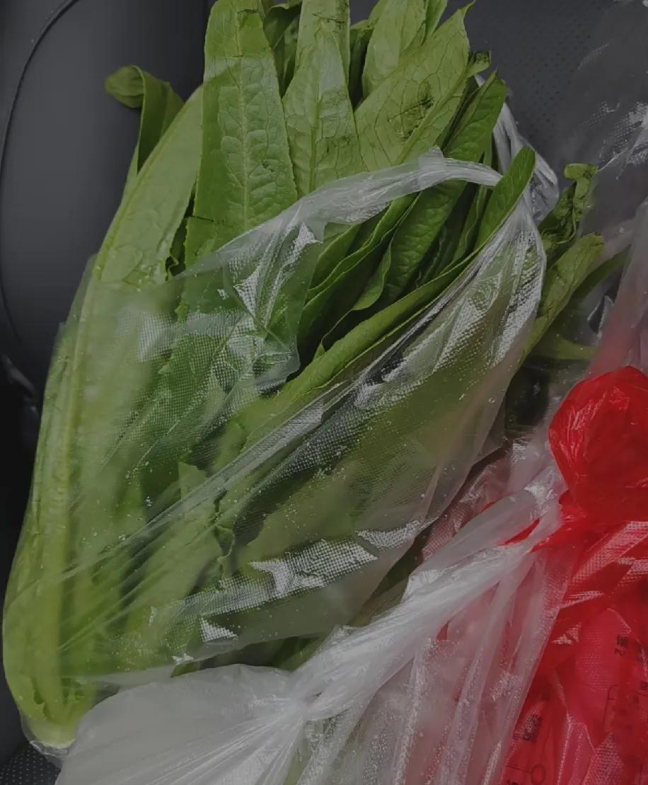 海南菜价把我看懵了!茼蒿17块一斤是认真的?今天买把茼蒿,结账时直接愣住1