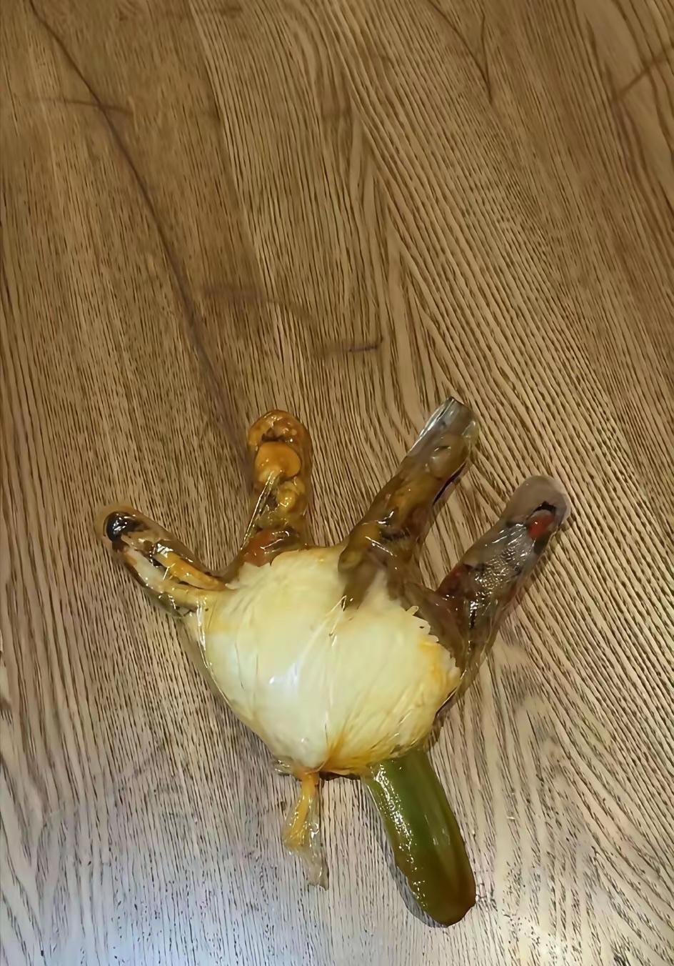 一次性手套打包的四菜一汤