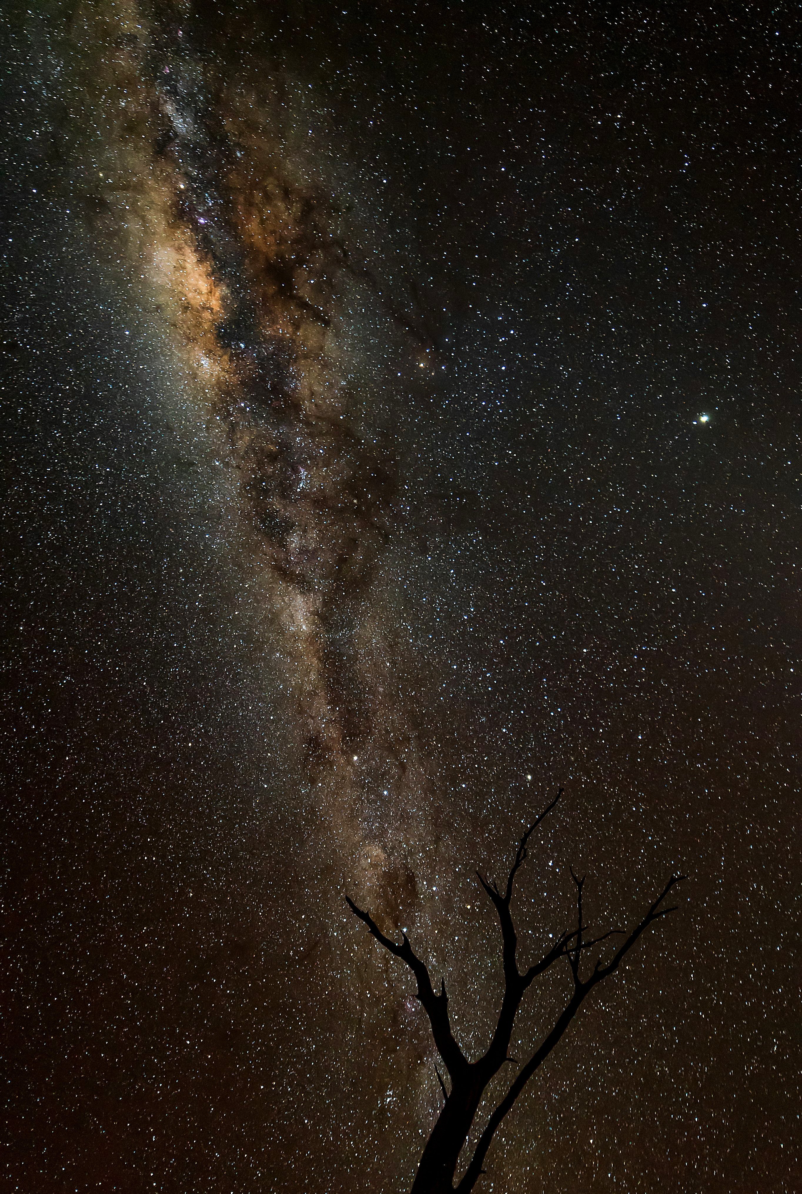 “在浩瀚的宇宙中，繁星都是其他的太阳。”——卡尔·萨根