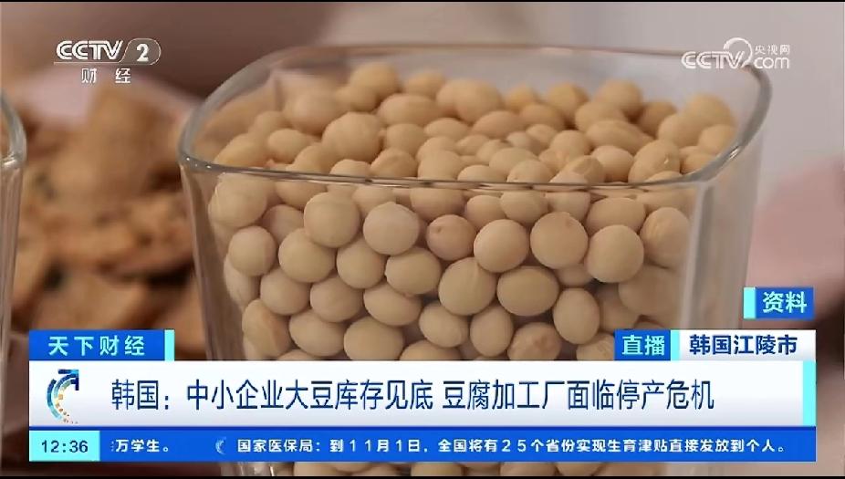 韩国人快吃不上豆腐了？韩国人最近快被一块豆腐愁坏了——江原道40多家豆腐厂库存