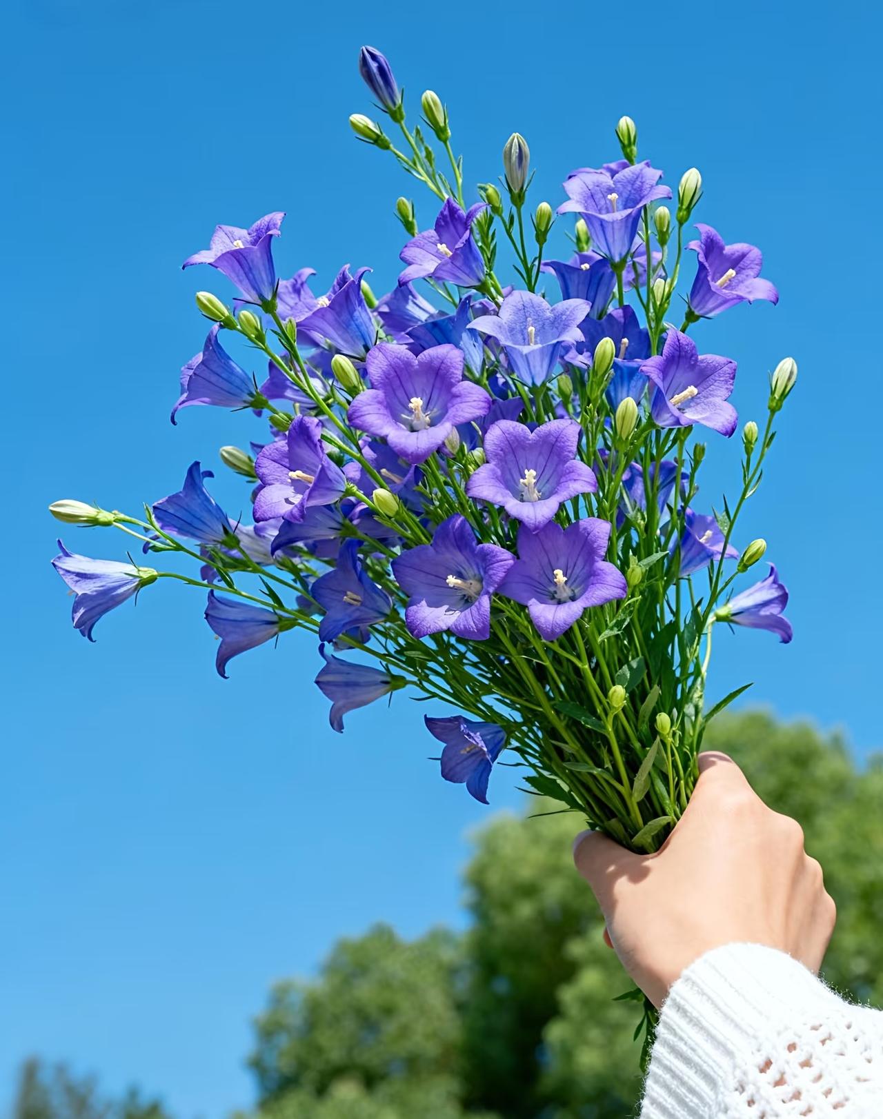 谁能想到？前几天体检，被医生说“更年期早开始了”，可我才40岁啊之前我跟多