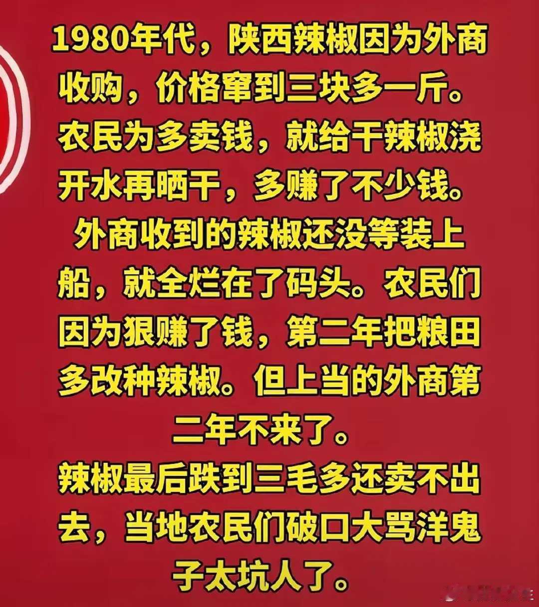辣椒的故事……
