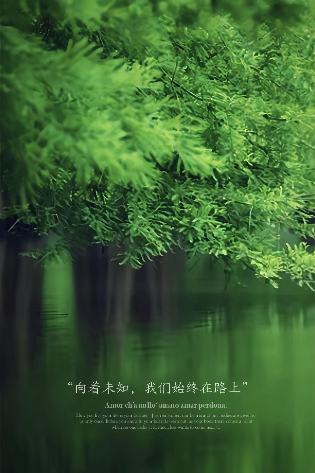 苦尽甘来，天蝎转运在即！2026下半年贵人相伴左右，事业破局上扬，财运稳步暴