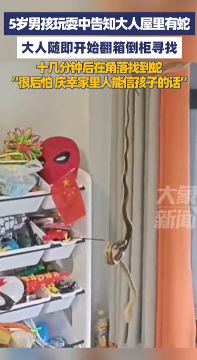 “细思极恐！”10月5日，四川自贡，一5岁男孩发现家中有蛇后赶忙告知大人，大人赶
