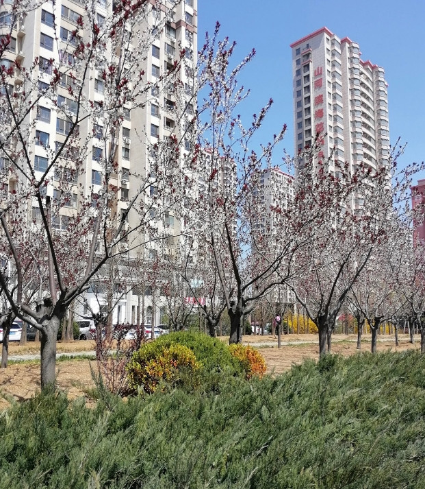 婆婆对媳妇不好，等婆婆老了该以德报怨吗？相信很多姐妹都有同款烦恼。回忆一