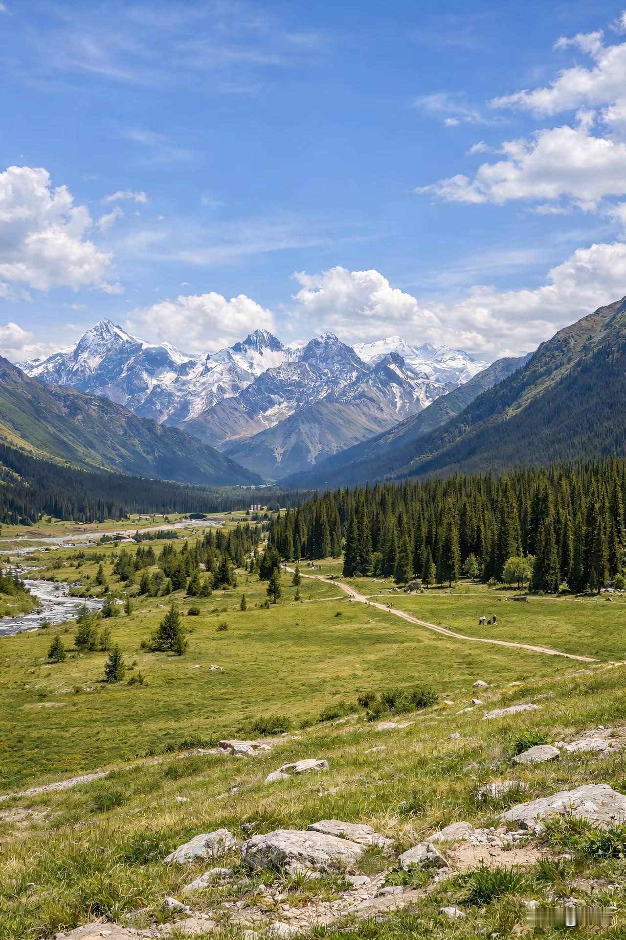 让大脑越来越聪明的运动一、快走/慢跑（健脑性价比之王）-增加大