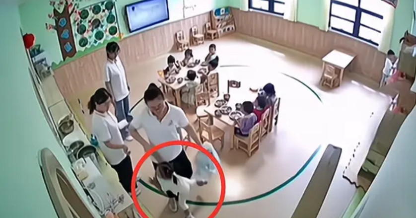 2021年，四川一4岁小女孩跟妈妈多次说不想去幼儿园，不想喝幼儿园的汤，母亲感觉