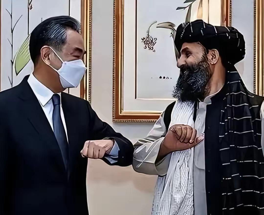 “巴沙”签订军事同盟协定有人提出“中东版北约”绝对是好事先别管成功与否敢