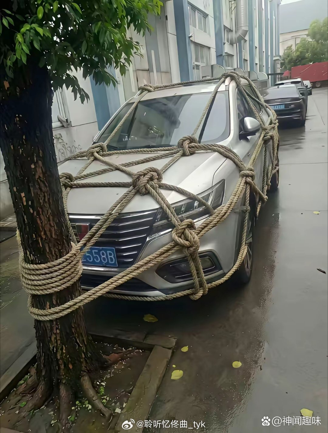 台风快来了，必须“尊重”