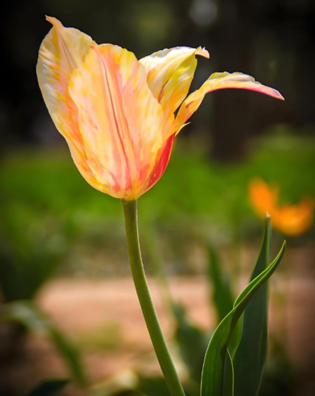 有位母亲，偷偷拿走大儿子攒了整整六年的40万存款，拿去给二儿子付了婚房首付。