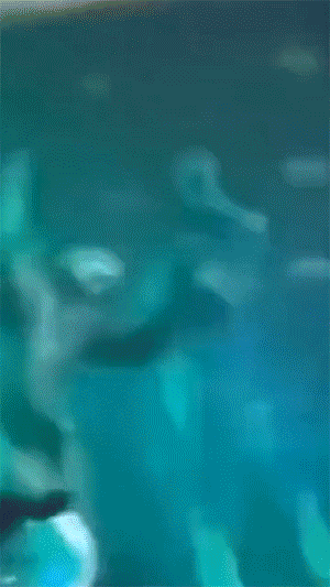 小姐姐也太灵活了吧，这样摇起来头不会晕啊？