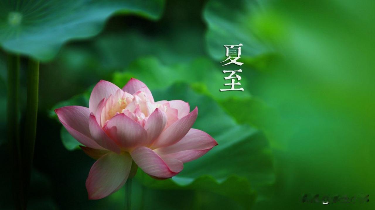 不是迷信！明日夏至前1天，牢记最不能做的五件事，别忘告诉家人夏至是二十四节气