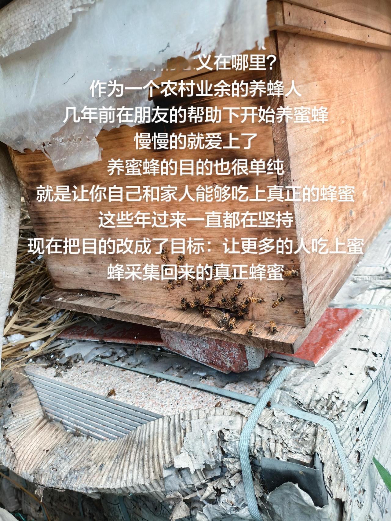 养蜜蜂的意义在哪里？作为一个农村业余的养蜂人几年前在朋友的帮助下开始养蜜蜂