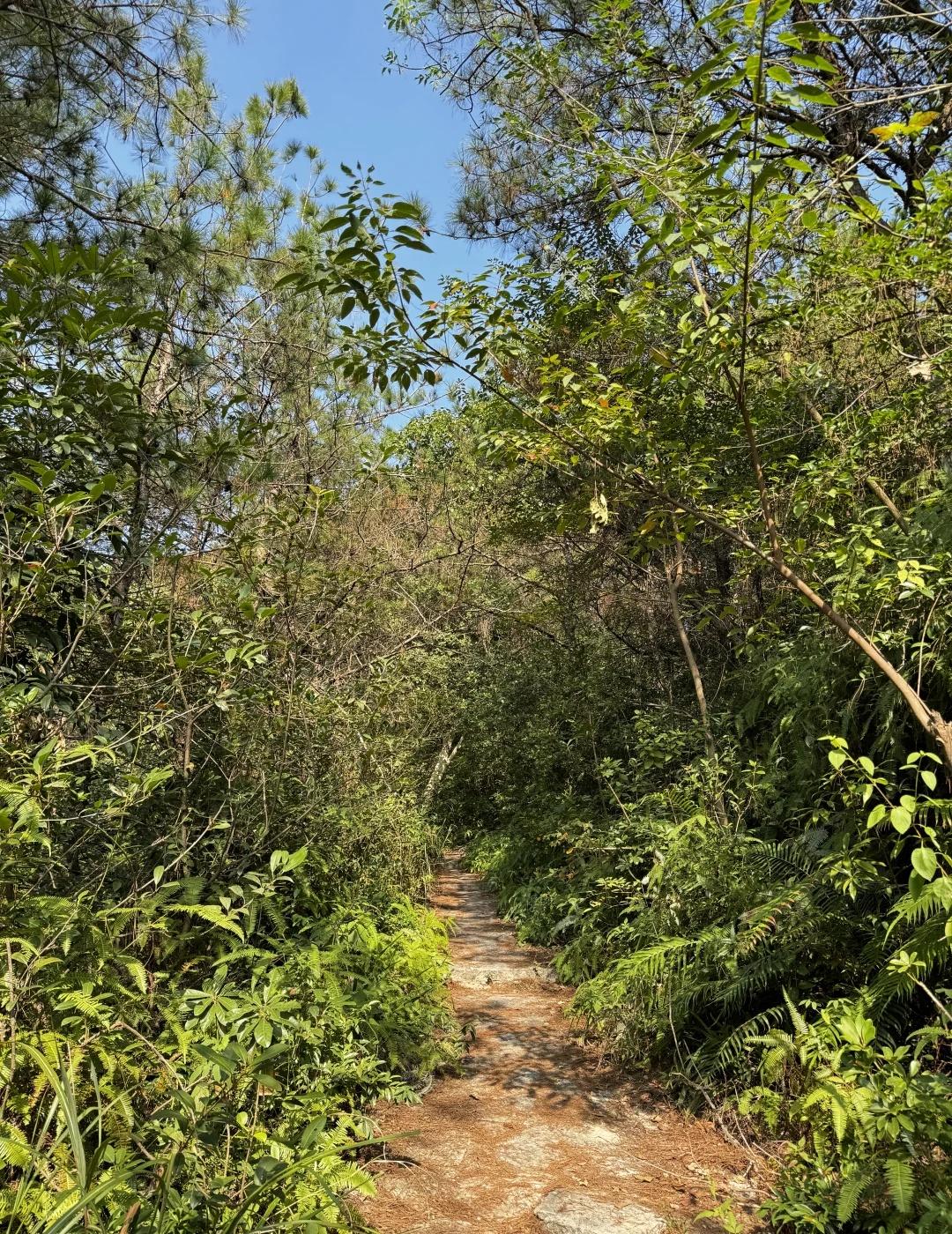 厦门徒步|绝美蔡尖尾山小环线⛰️绝了❗️❗️趁着天气好赶紧出发叭家人们🤩