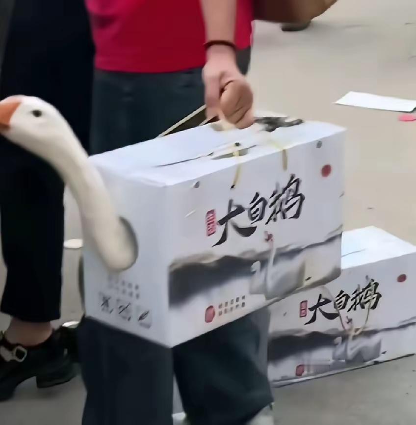 鹅恐怕这辈子都没想到自己还能出礼盒原来有网友过节一人送一只鹅​但是老板想