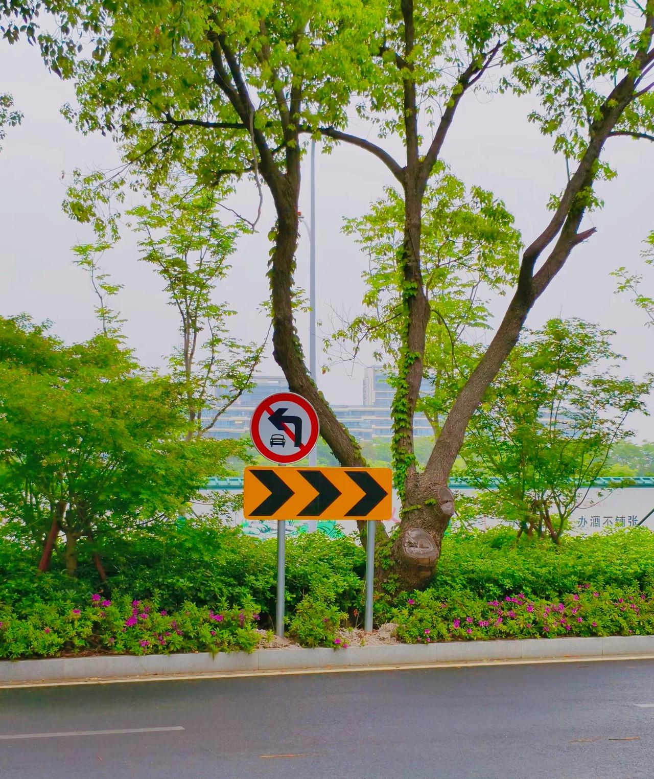 刘震云：人为什么要读书“在自己的能力范围内，一点儿苦都不要吃，一点儿难听的话都