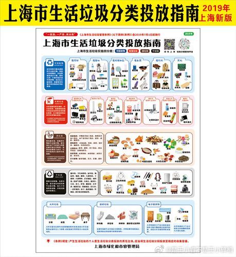 上海垃圾分类已经两三年了，我刚搬来很不习惯。每天早上拎着垃圾袋，在垃圾桶前蹲下去，拿手机查“这是什么