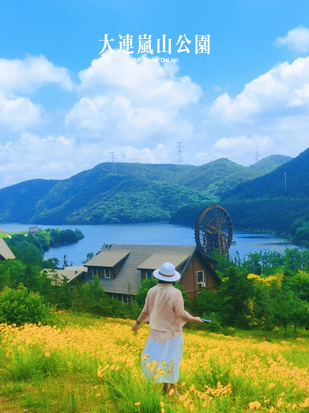 大连岚山公园花海