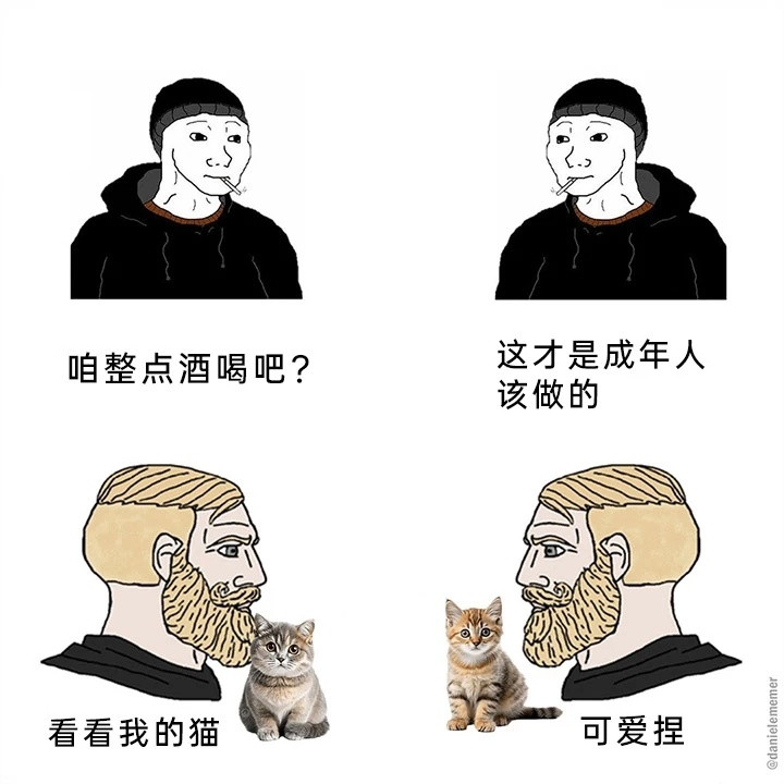 来点成年人的快乐memes