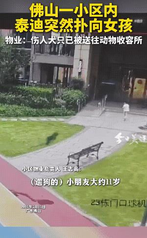 咬到就是咬到了，什么是牙齿刮到小伤口。还小伤口，请问你！可以不打狂犬疫苗吗？没