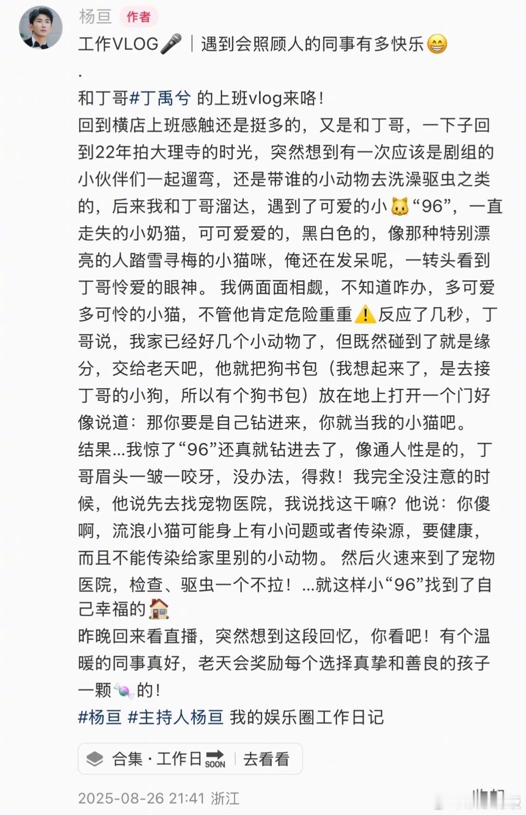 丁禹兮收养流浪猫前同事说丁禹兮是善良的孩子刷到和丁禹兮合作过好多次的主持人杨亘
