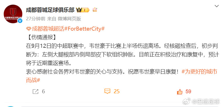 成都蓉城发布了韦世豪的伤情通报，专业术语不懂，但说了近期将重返赛场，说明问题不严